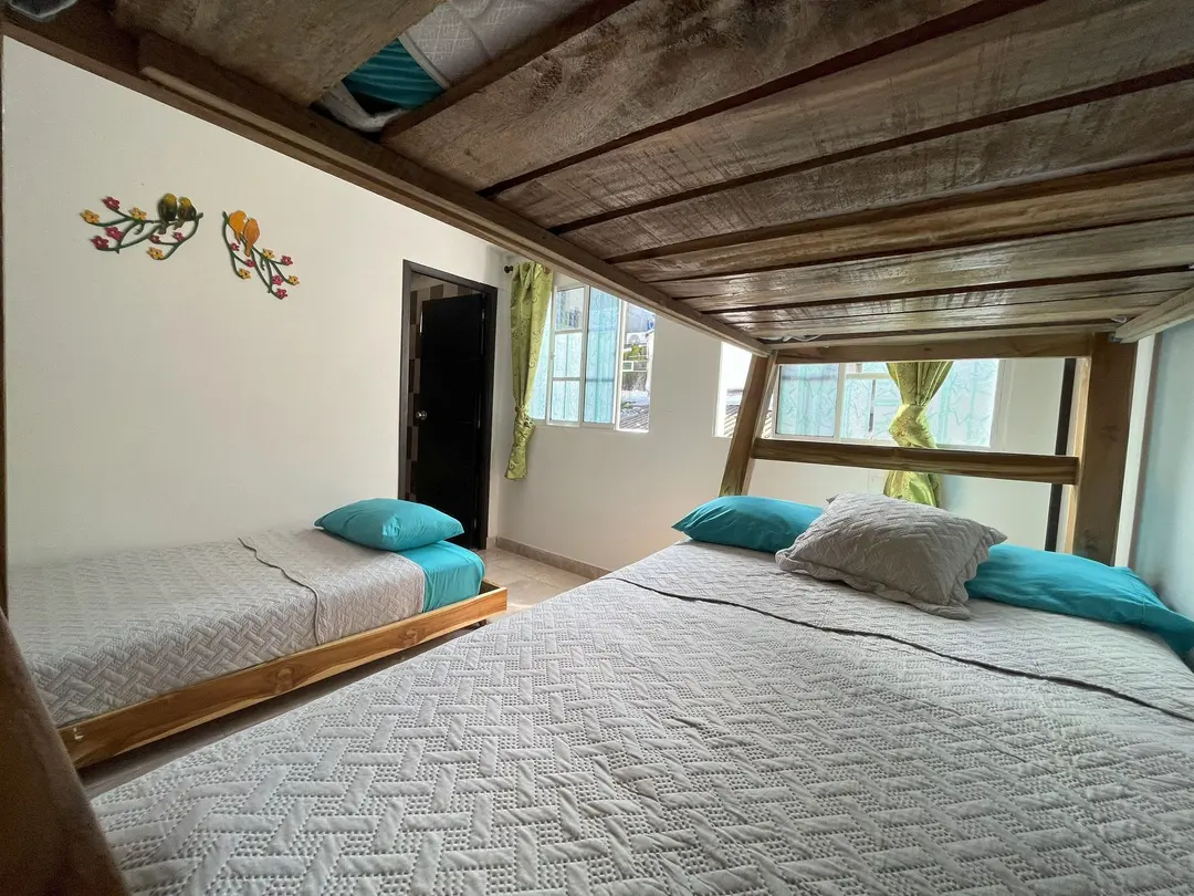 Vista desde la cama de abajo de una litera: tablas de madera arriba, cama sencilla al lado, cortinas verdes y pájaros decorativos en la pared.