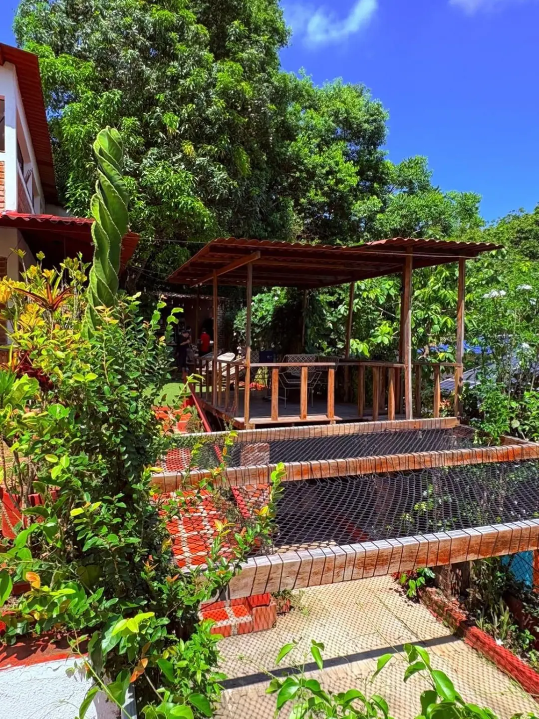 Kiosco de madera entre plantas tropicales, con escalones de ladrillo y cielo despejado.