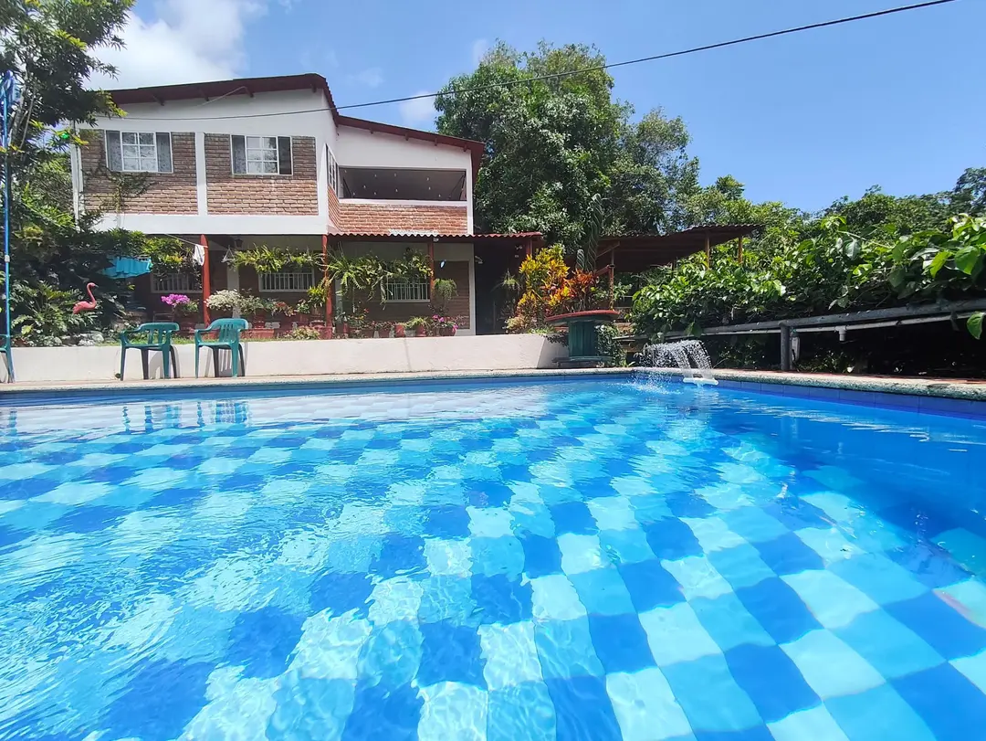 La piscina de baldosas en damero frente a la casa de dos pisos, con sillas turquesa, flores y un flamenco de jardín.