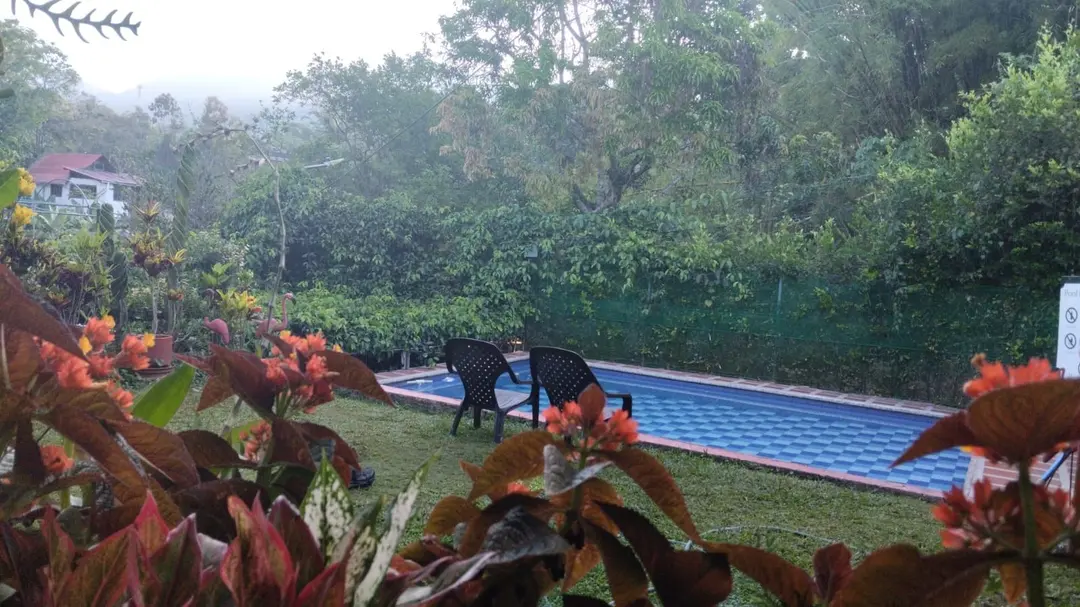La piscina y el césped enmarcados por plantas de hojas rojas, con los cerros entre neblina.