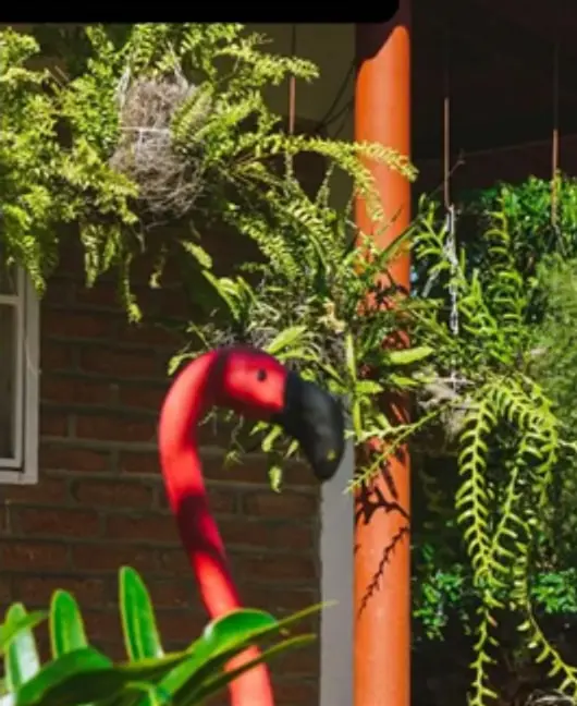 Un flamenco rosado decorativo entre helechos colgantes, junto a una columna naranja.