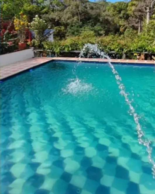 Agua turquesa de la piscina con el chorro de la fuente, junto al jardín.