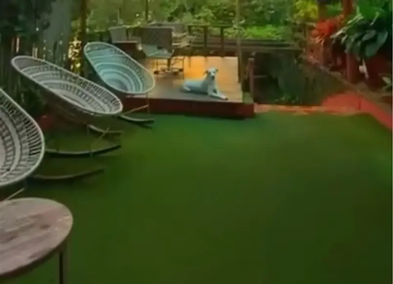 Terraza al atardecer con sillas tejidas blancas sobre el césped; un perro blanco descansa en la plataforma de madera.