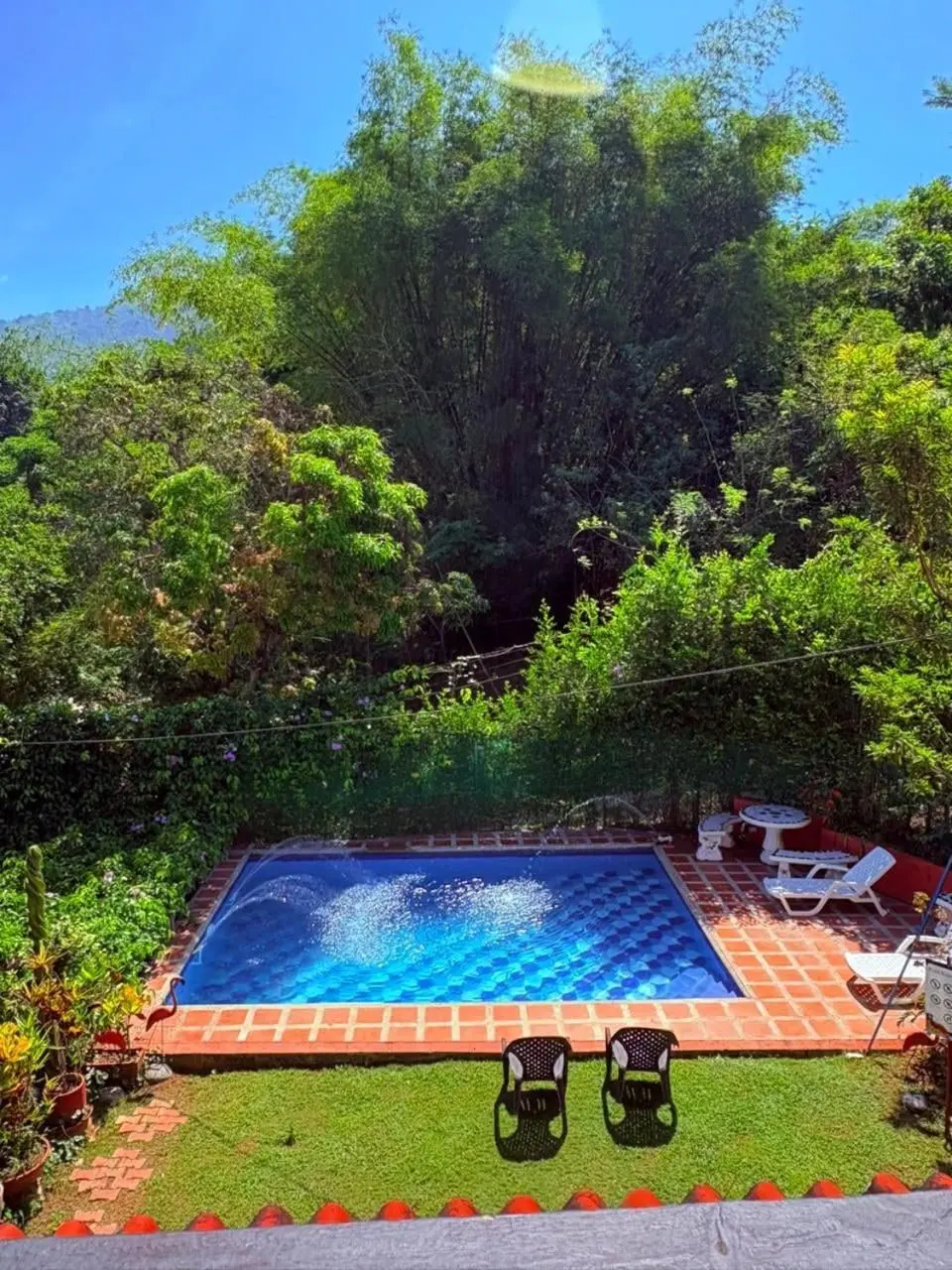 La piscina vista desde arriba, rodeada de césped, piso de ladrillo, sillas y vegetación espesa.