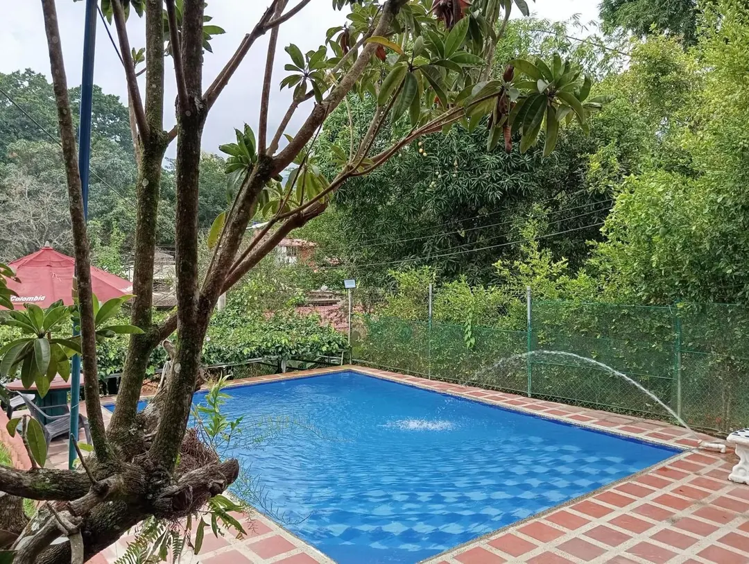La piscina vista entre las ramas de un árbol del jardín, con chorros de agua, borde de ladrillo y la malla verde del cerramiento.