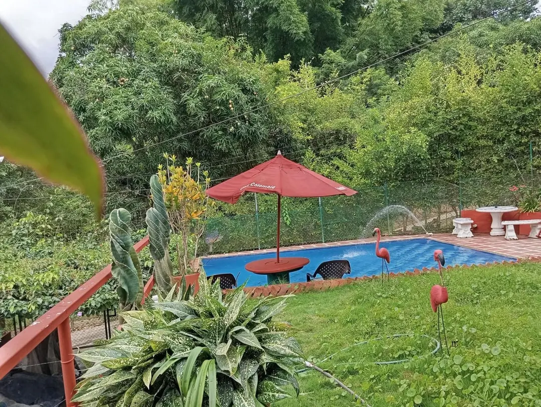 Jardín con flamencos rosados decorativos sobre el césped, cactus, una sombrilla roja y la piscina al fondo.