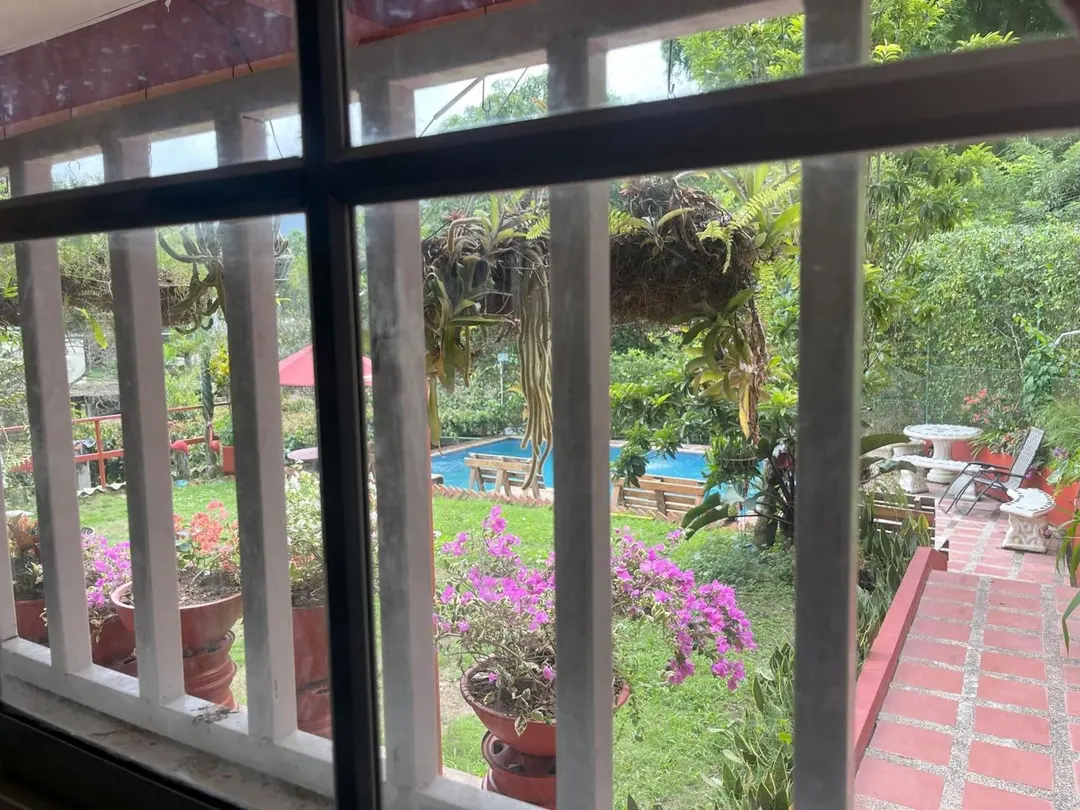 Vista desde una ventana con barrotes blancos: flores fucsia en macetas, el jardín y la piscina al fondo.